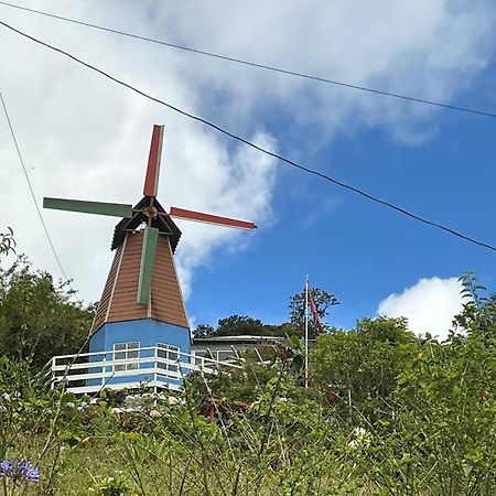 Hotel Vistas Del Cielo Cartago Dış mekan fotoğraf